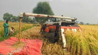 Kubota combine harvester, import from Japan rice cutting machine | farming machine