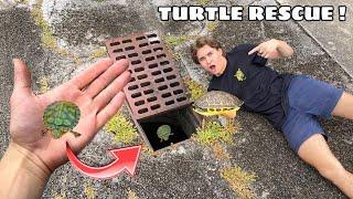 RESCUED ! BABY TURTLES FOUND TRAPPED In SEWER !