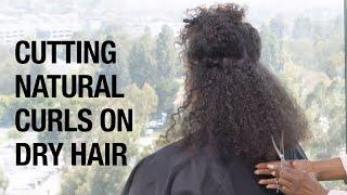 Best Practices for Cutting Natural Curls | Curly Hair Dry Cutting Tutorial | Kenra Professional