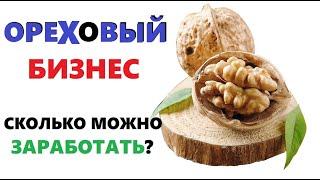 Бизнес на грецком орехе , можно ли заработать денег на продаже орехов?