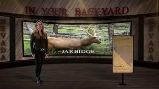 Jarbidge - In Your Backyard