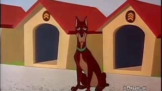 Looney Tunes - Doberman Pinscher