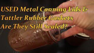 USED Metal Canning Lids & Tattler Rubber Gaskets - Are They Still Sealed? - My Experiment