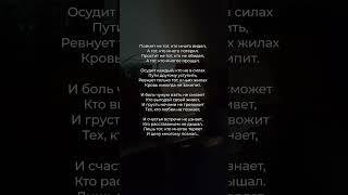 Поймёт не тот, кто много видел | любимая поэзия  #поэзия #стихи #стих
