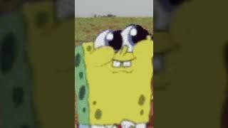 i voiced some SpongeBob memes #meme #memes