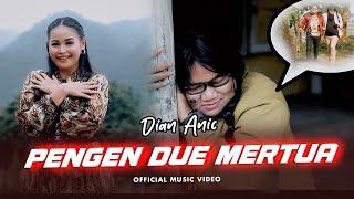 Dian Anic - Pengen Due Mertua (Official Music Video)