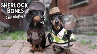 Ep 11: Sherlock Bones & Watley - Adorable Wiener Dog Detectives!