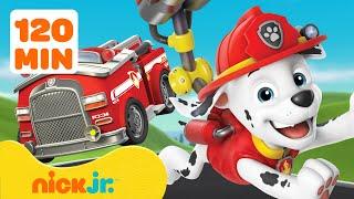 PAW Patrol Coolest Vehicles Rescues! #3 w/ Marshall  120 Minutes | Nick Jr.