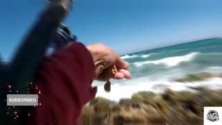 صيد سمك الشرغو مع الرايس البشير (مرقالة طنجة)#المغرب #صيد #طنجة #fishing #vlog #fish