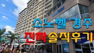 소노리조트 기명회원이 봐도 소노벨경주 이래서는 진짜 안된다! -동해안여행(5)