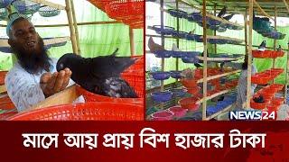 শাক-সবজির ঝুড়িতে লাখ টাকার কবুতর পালন | News24 Special