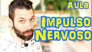 Impulso Nervoso - Potencial de Ação - Tecido Nervoso | Aula Prof. Samuel Cunha