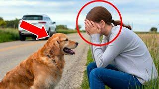 DOG WAITED 7 YEARS, AND WHAT HAPPENED NEXT WILL LEAVE YOU IN TEARS