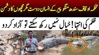 Tomb of Crocodiles | Manghopir Crocodile Karachi | Shayan Saleem Exclusive Video | 92NewsHD