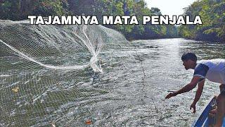 JALA ROMBONGAN IKAN YG MELINTAS DI BAWAH PERAHU, AIRNYA JERNIH