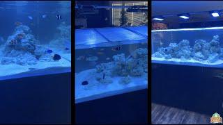 Cade Aquariums - Shipping and Receiving