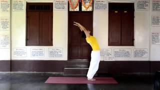 30 minutes practice of Sivananda Yoga for beginners to intermediates