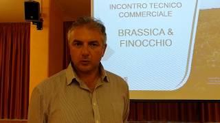 Fabrizio Poletti  - TAM Brassiche e Finocchio Seminis -  Cassibile SR