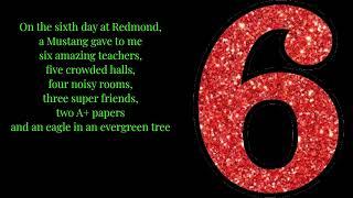 Tyler Sparkle (me) - The Twelve Days at Redmond official lyric video