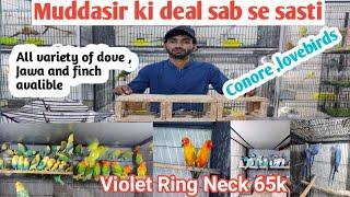 Pakistan KY sab sa sasti birds Market ll Muddasir Birds  ll 03096188063