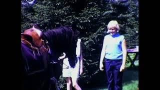 Becky (1967) Carnival at Allendale (Horses)