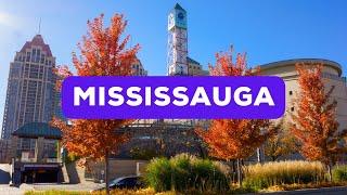 Mississauga's Cultural Diversity: 2024 Must Visit Tour Destinations