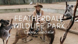 Featherdale Wildlife Park in Sydney, Australia | Koalas, Kangaroos, Quokkas, & more!