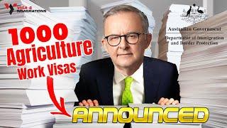 1000 Australia  Farm worker Jobs | New Agriculture visa | No Age Limit | Free Food Flight + Home