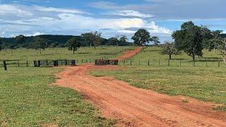 Fazenda a venda em Mato grosso. Fazenda a venda MT