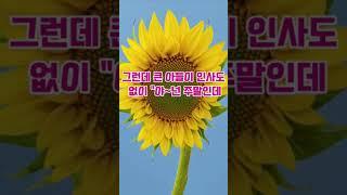 큰아들네와 동행여행 하게된 이유