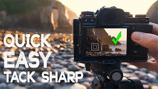 An EASY way to focus for RAZOR SHARP photos