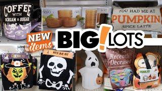 BIG LOTS * NEW FALL DECOR 2024 & MORE