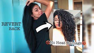 Straight Hair Back To Curly Routine! NO HEAT DAMAGE | jasmeannnn