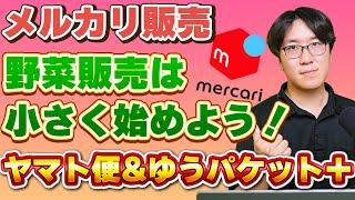 【野菜のメルカリ販売で利益倍増！？】発送の形と送料を徹底解説！！２つの箱を上手く使え！