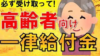 【一律給付金】2024年のいつ始まる？高齢者向け給付金について徹底解説！