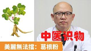 女人每天吃葛根粉好嗎【保健養生】生生不息