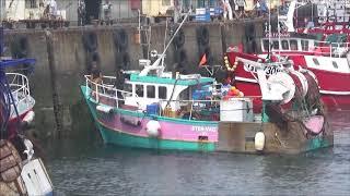 Bretagne port le Guilvinec retour des chalutiers et déchargement du poisson