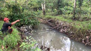 Wah wah.!!! Ikan nya babon babon mancing di parit parit kecil yang banyak rumputnya