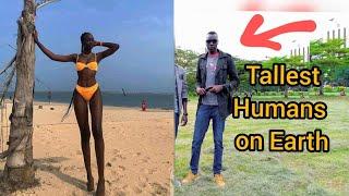 Tallest Humans on Earth, Dinka People of South Sudan. over 7 feet tall. Most play Basketball in USA