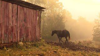 Lana Puckett & Kim Person - Cornstalk Pony Days (Music Video)