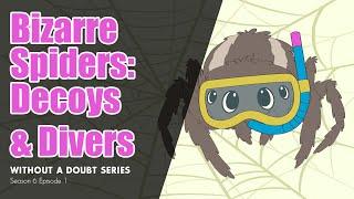 Bizarre Spiders: Decoys and Divers