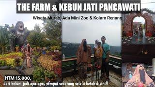 THE FARM PANCAWATI & KEBUN JATI PANCAWATI Bogor || wisata murah view mewah @ghasofficial3934