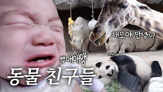 [러너꽃빈vlog] 비 오는 날에 즐거운(?) 에버랜드 나들이