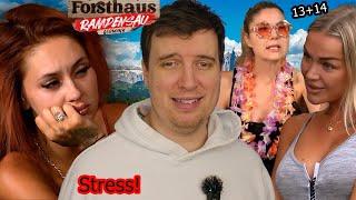 Forsthaus Rampensau 13+14 - Streit, Streit, nur Streit!