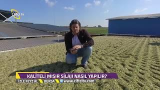 İzle Feyz Al / Kaliteli Mısır Silaj Nasıl Yapılır?