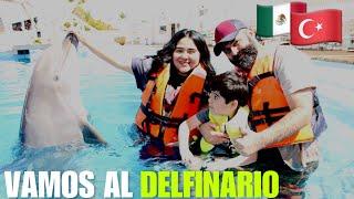 CUMPLIMOS NUESTRO SUEÑOENCUENTRO CON DELFINES en Guaymas, Sonora (Experiencia) | Gina Elguea