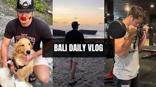 BALI DAILY VLOG | Gym, Luna and Nova, Sunset