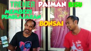 BELAJAR BONSAI BERSAMA PAIMAN TRENER BISU SEKILNYA TERNYATA DI ATAS TRENER