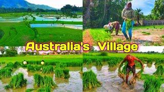 Australia’s  Real Village || Australia Village Life || Aus Natural Scenery