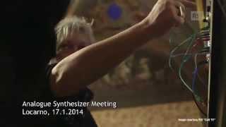 Analogue Synthesizer Meeting Locarno, 2014 (Images version)